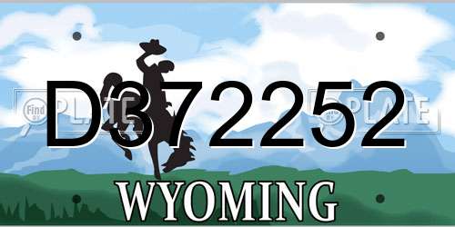 D372252 Wyoming License Plate