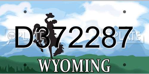 D372287 Wyoming License Plate