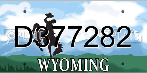 D377282 Wyoming License Plate