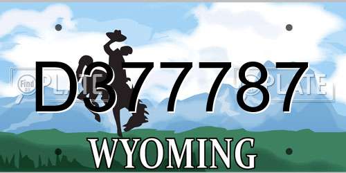 D377787 Wyoming License Plate