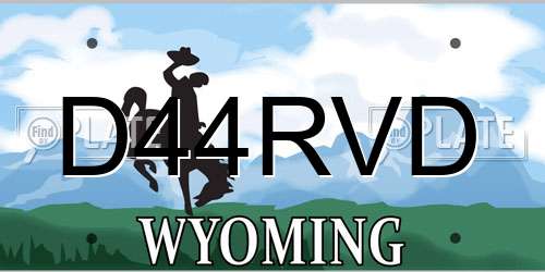 D44RVD Wyoming License Plate