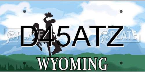 D45ATZ Wyoming License Plate