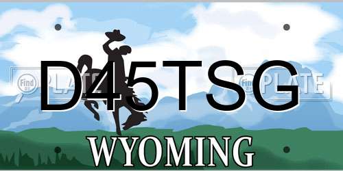 D45TSG Wyoming License Plate