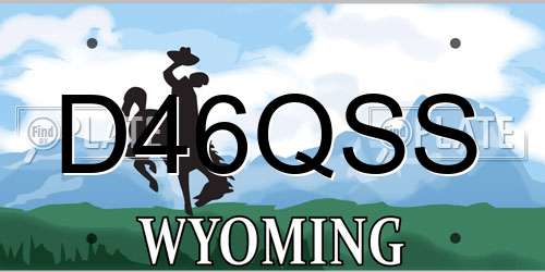 D46QSS Wyoming License Plate