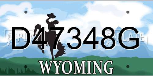 D47348G Wyoming License Plate