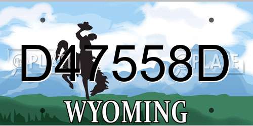 D47558D Wyoming License Plate