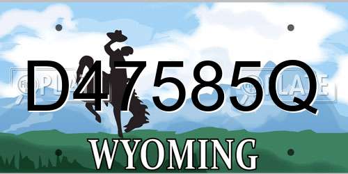 D47585Q Wyoming License Plate