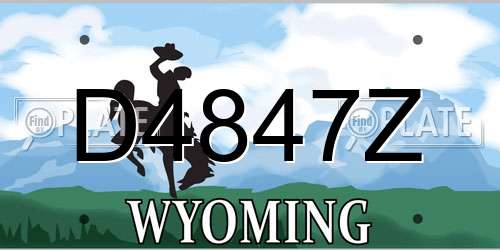 D4847Z Wyoming License Plate