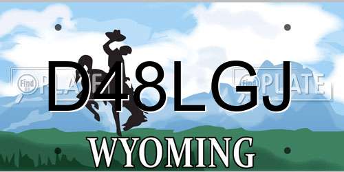 D48LGJ Wyoming License Plate