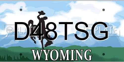 D48TSG Wyoming License Plate