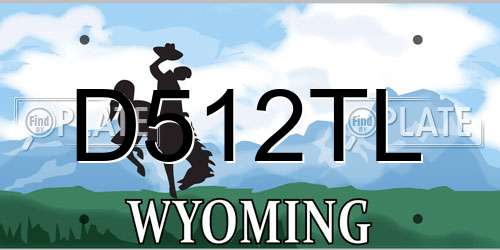 D512TL Wyoming License Plate