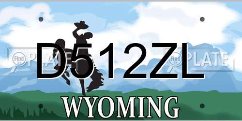 D512ZL Wyoming License Plate
