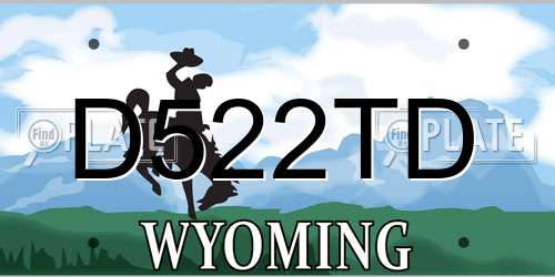 D522TD Wyoming License Plate