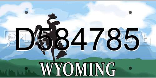 D584785 Wyoming License Plate