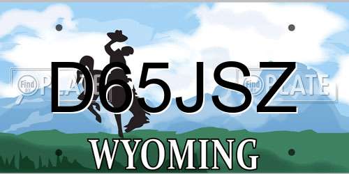 D65JSZ Wyoming License Plate
