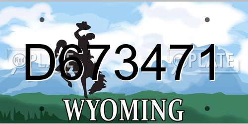 D673471 Wyoming License Plate