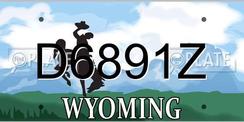 D6891Z Wyoming License Plate