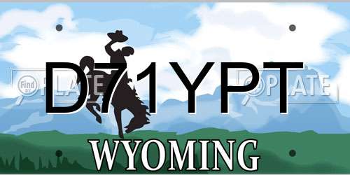 D71YPT Wyoming License Plate
