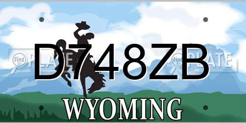 D748ZB Wyoming License Plate
