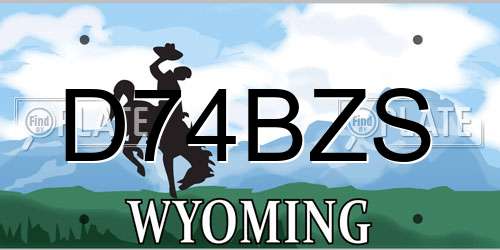 D74BZS Wyoming License Plate