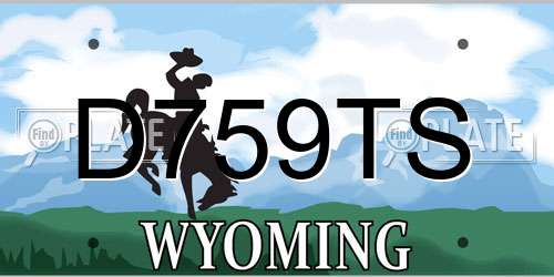 D759TS Wyoming License Plate