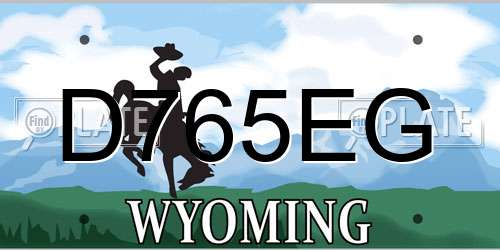 D765EG Wyoming License Plate