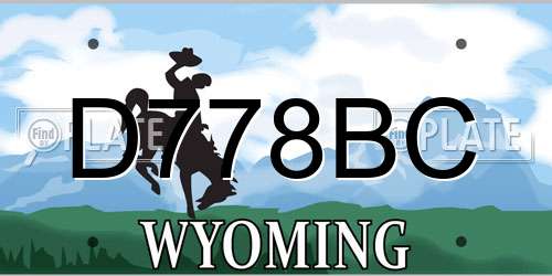 D778BC Wyoming License Plate
