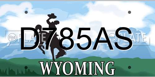 D785AS Wyoming License Plate