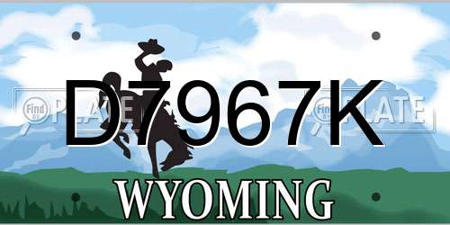 D7967K Wyoming License Plate