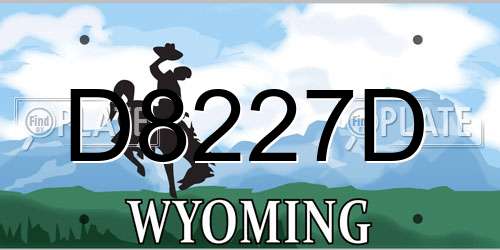 D8227D Wyoming License Plate