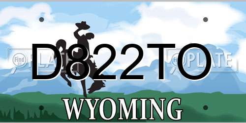 D822TO Wyoming License Plate