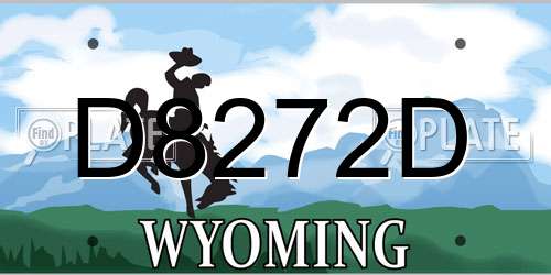 D8272D Wyoming License Plate