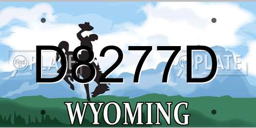 D8277D Wyoming License Plate