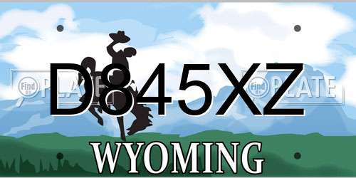 D845XZ Wyoming License Plate