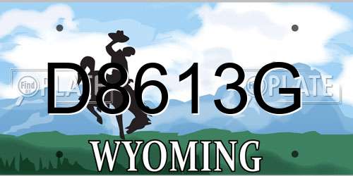 D8613G Wyoming License Plate
