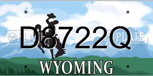 D8722Q Wyoming License Plate