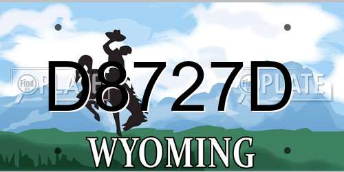 D8727D Wyoming License Plate