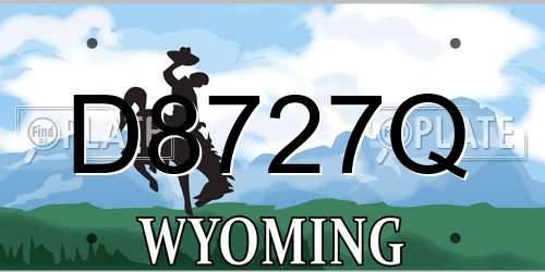 D8727Q Wyoming License Plate