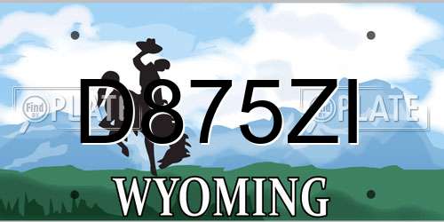 D875ZI Wyoming License Plate