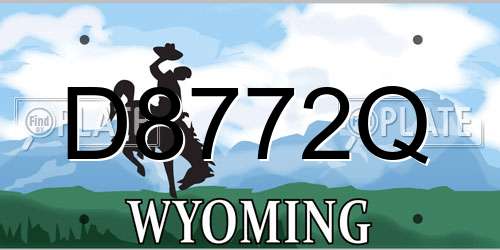 D8772Q Wyoming License Plate