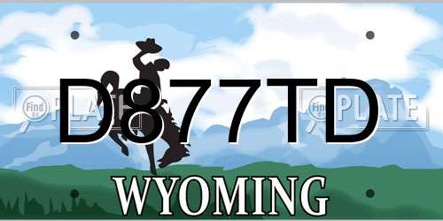 D877TD Wyoming License Plate