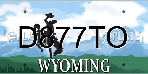 D877TO Wyoming License Plate