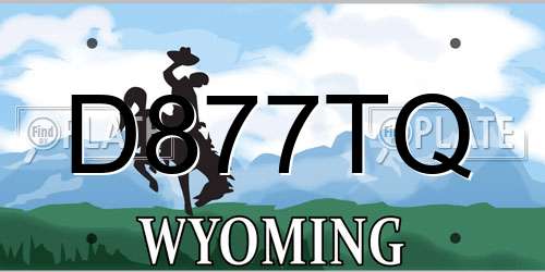 D877TQ Wyoming License Plate