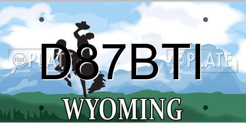 D87BTI Wyoming License Plate