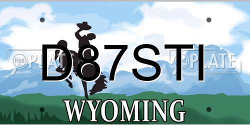 D87STI Wyoming License Plate