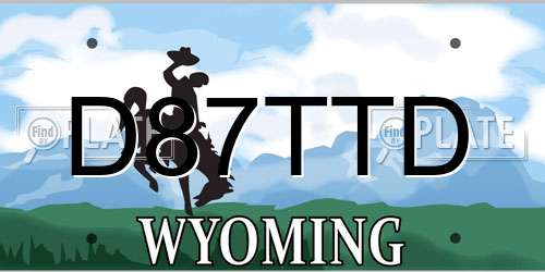 D87TTD Wyoming License Plate