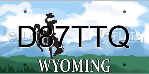 D87TTQ Wyoming License Plate