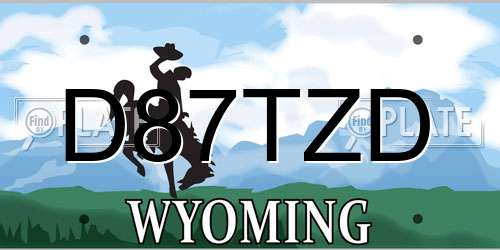 D87TZD Wyoming License Plate