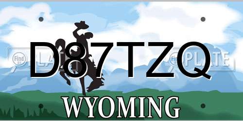 D87TZQ Wyoming License Plate