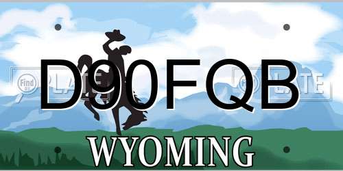 D90FQB Wyoming License Plate